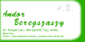 andor beregszaszy business card